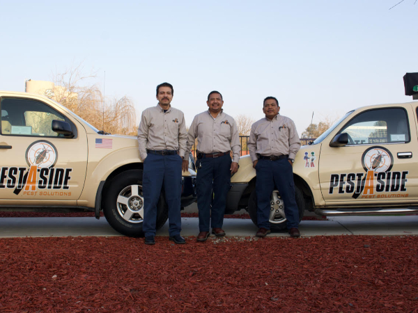 Pest Control services Madera
