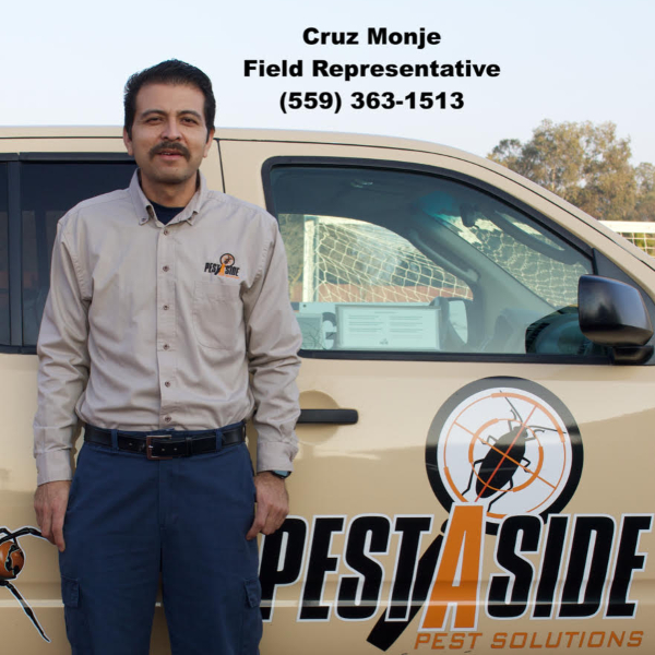 Pest Control services Madera