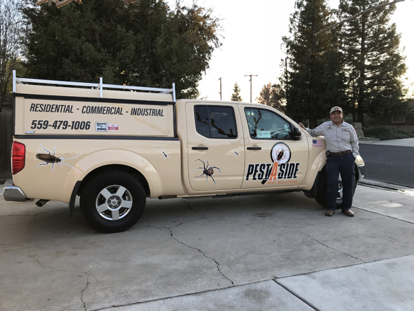Pest Control in Madera