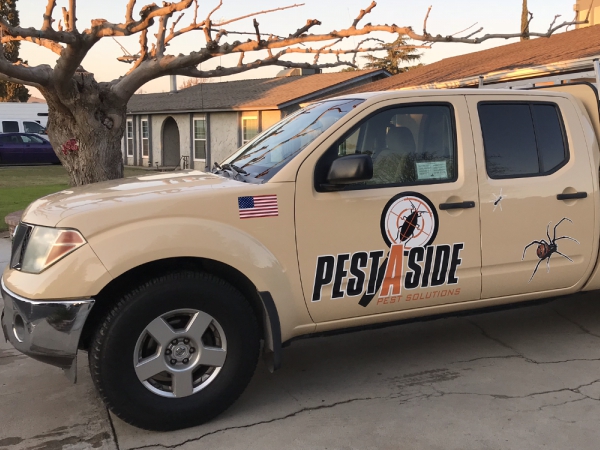 Pest Control services Madera