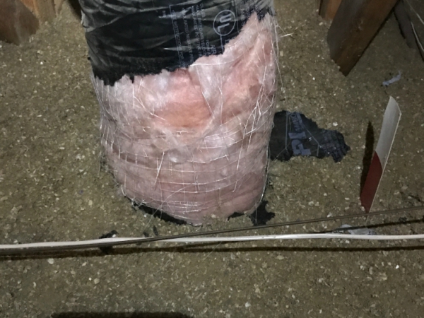 RODENT Control In Madera