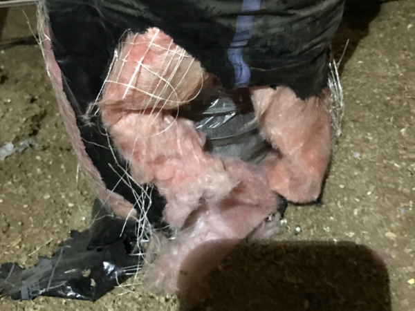 RODENT Control services Madera