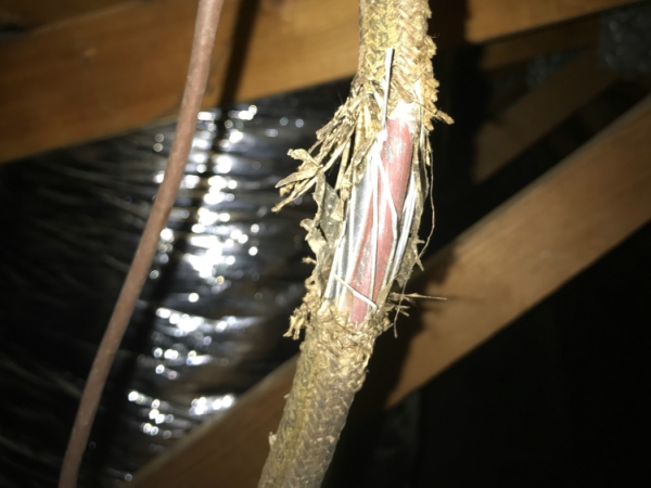 Top Rated RODENT Control services Madera