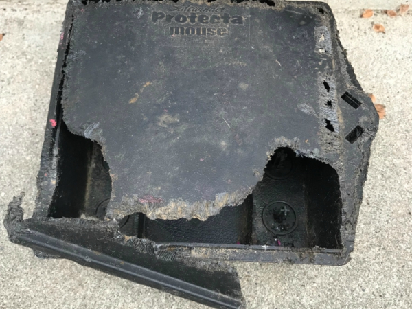 Best RODENT Control services Madera