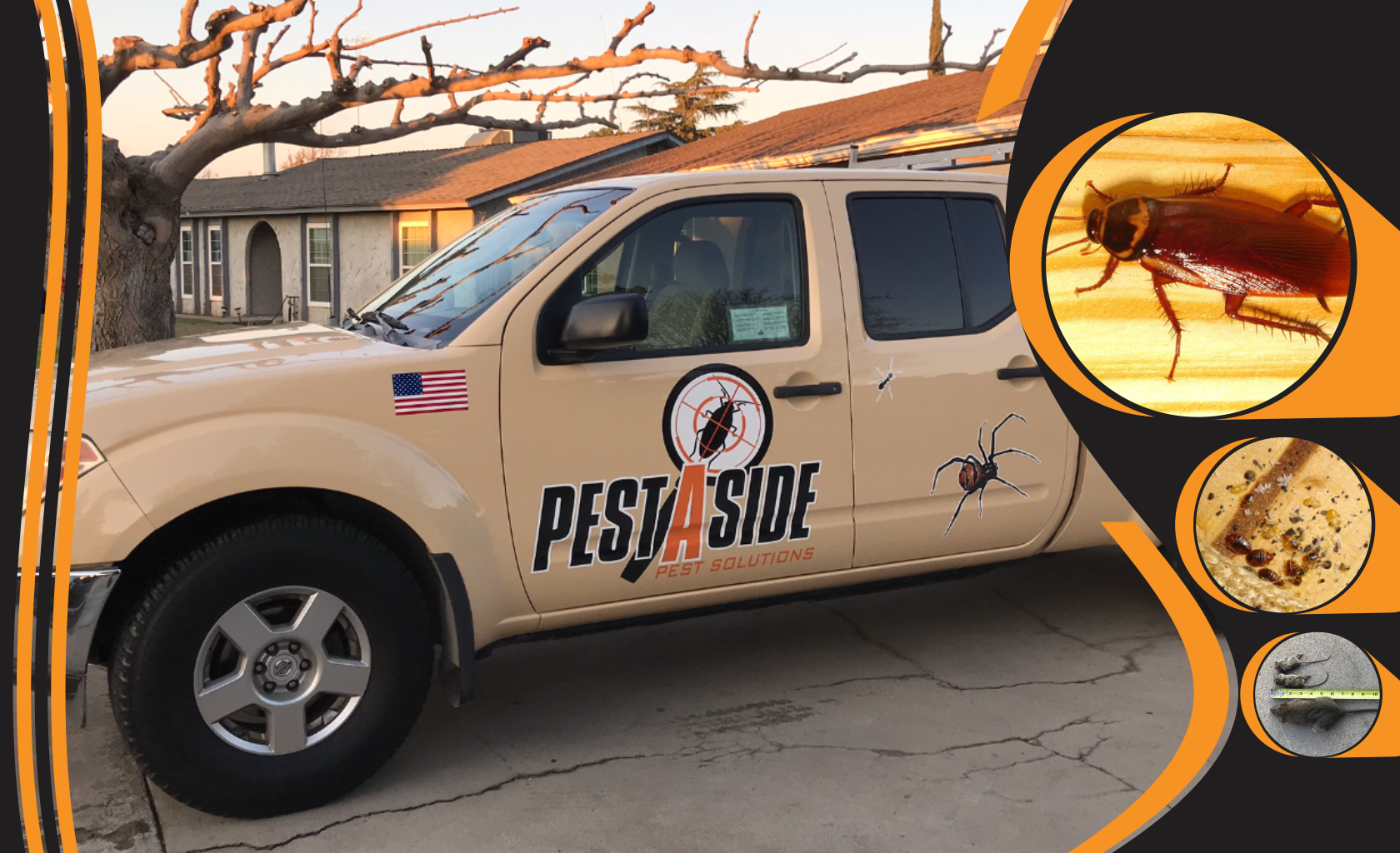 Pest Control Madera